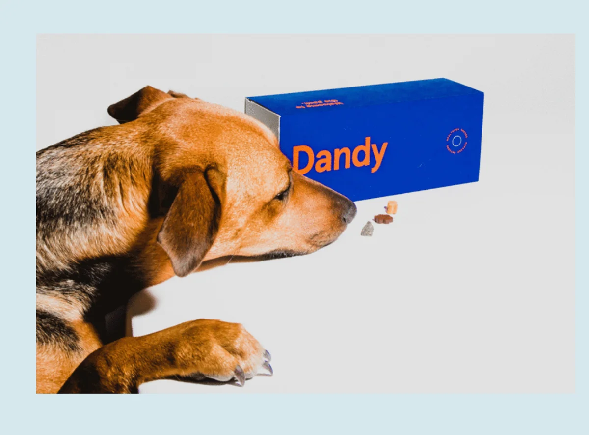 Dandy preview